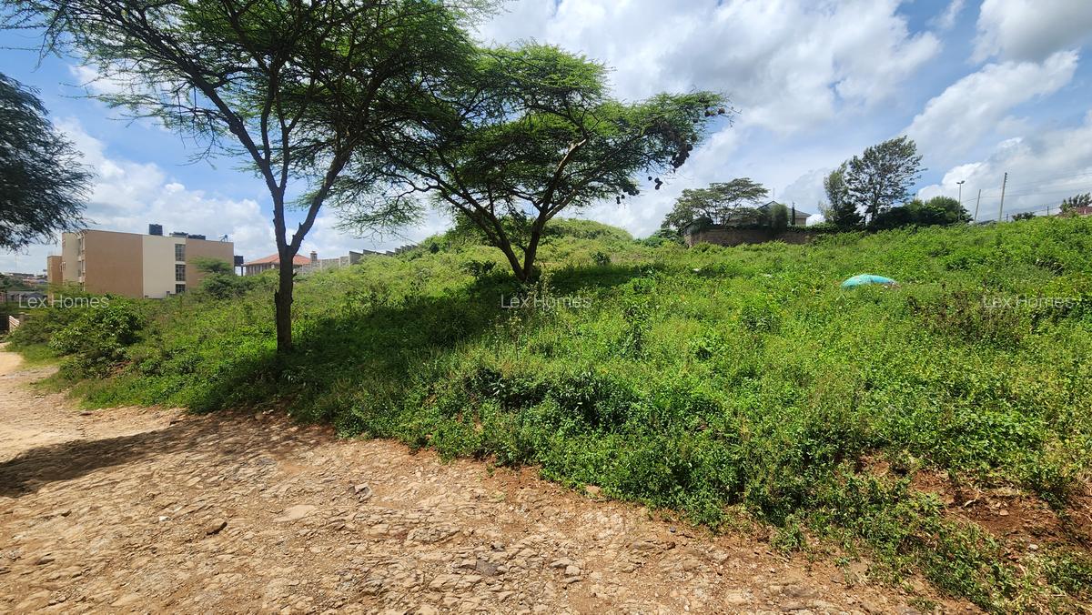 0.2 ha Commercial Land at Merisho Road - 7