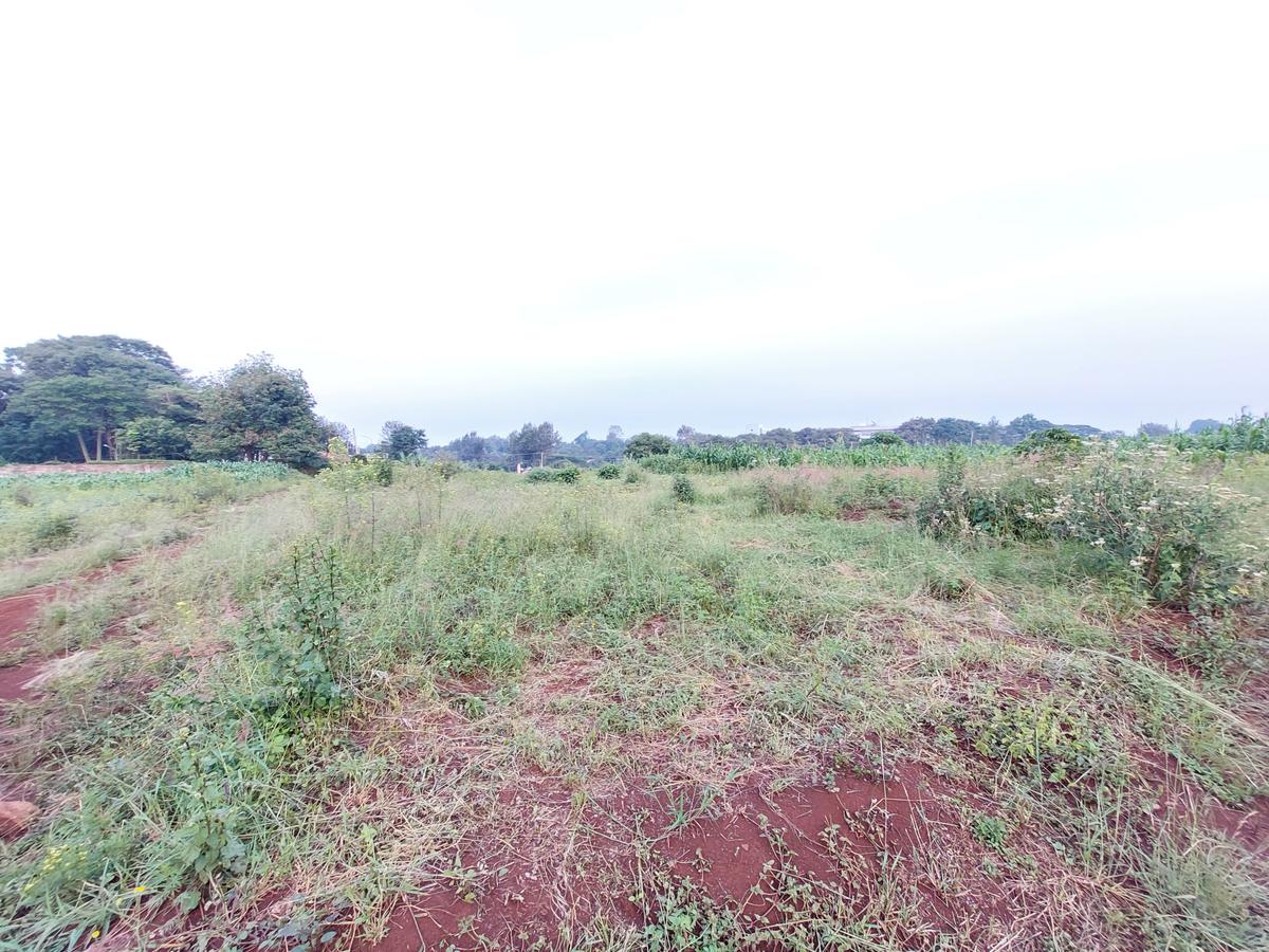 Residential Land at Kirawa Road - 2