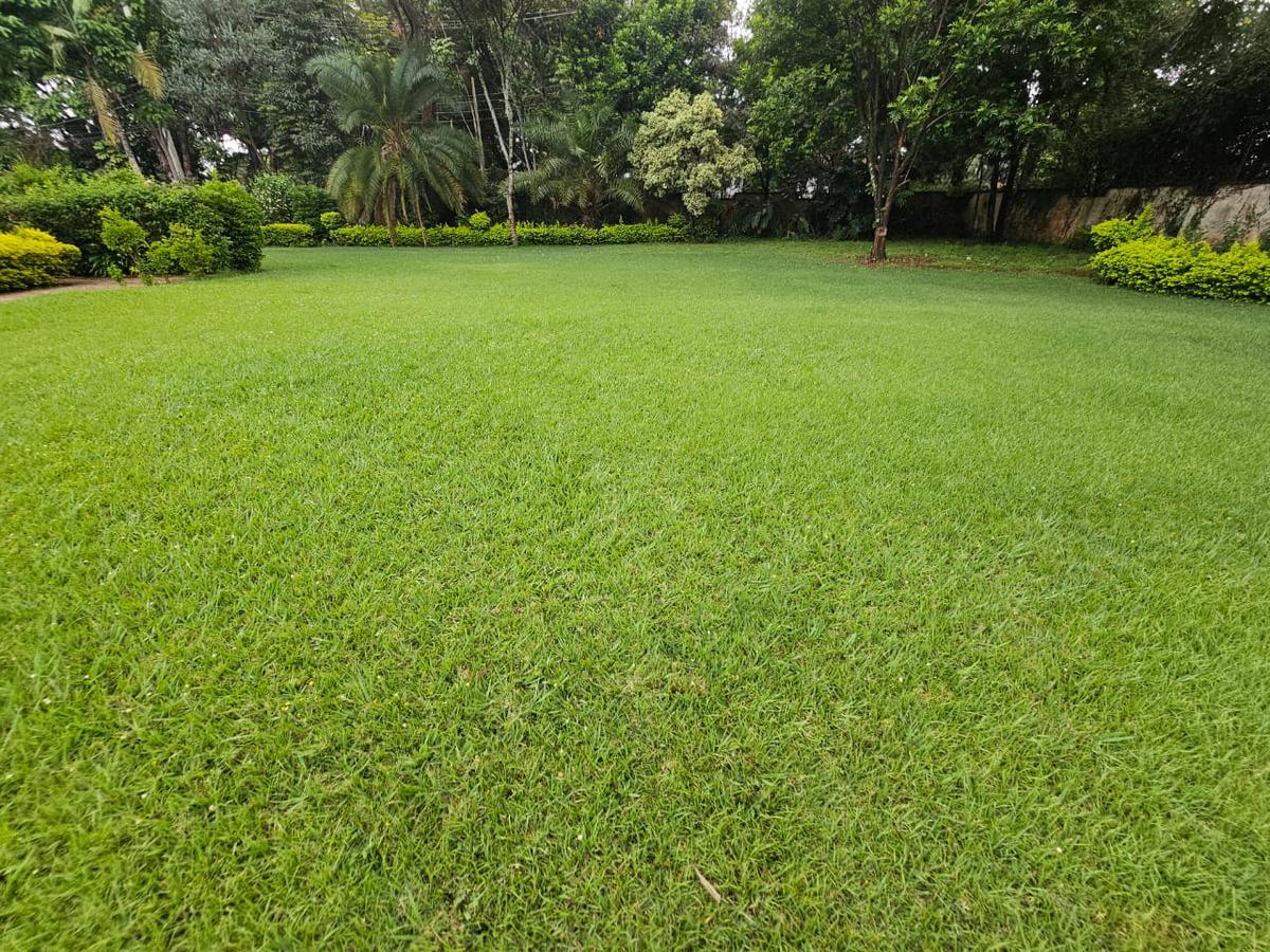 4 Bed House with En Suite at Old Muthaiga - 3