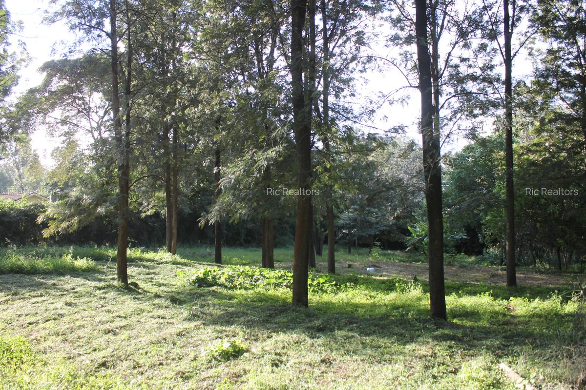 0.6 ha Land at Magadi Road - 1