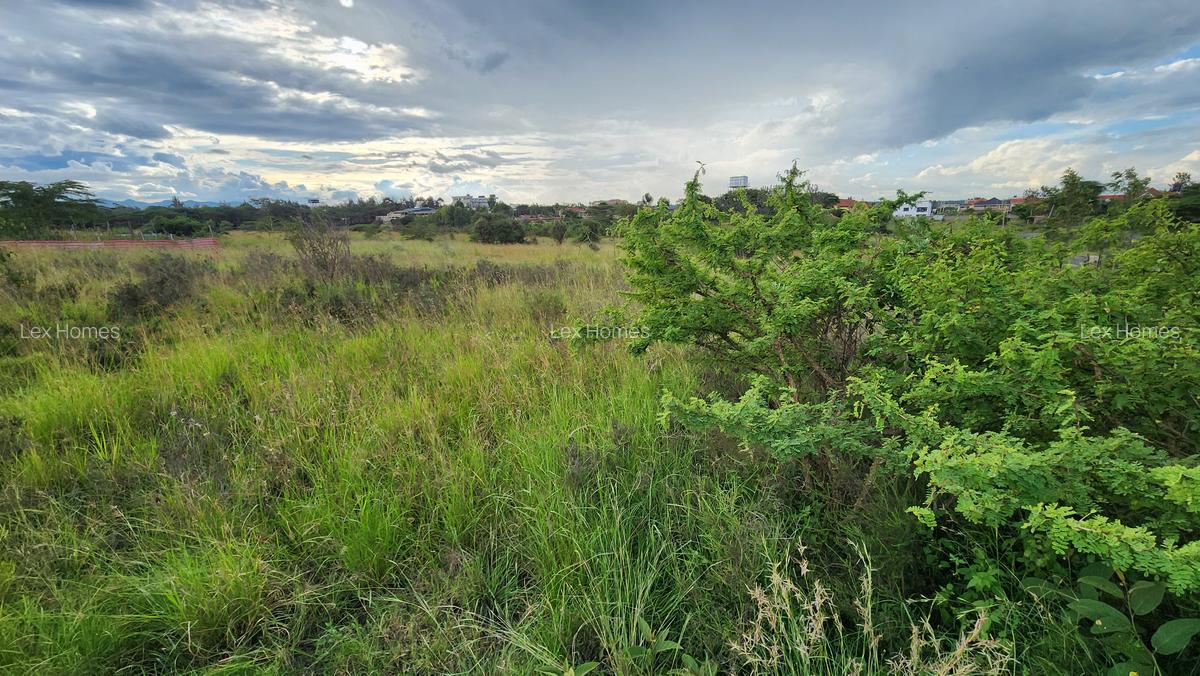 0.4 ha Land at Masai Lodge - 10