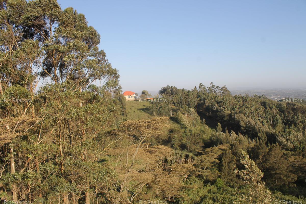 4 Bed House with En Suite at Kibiko - Ngong - 7