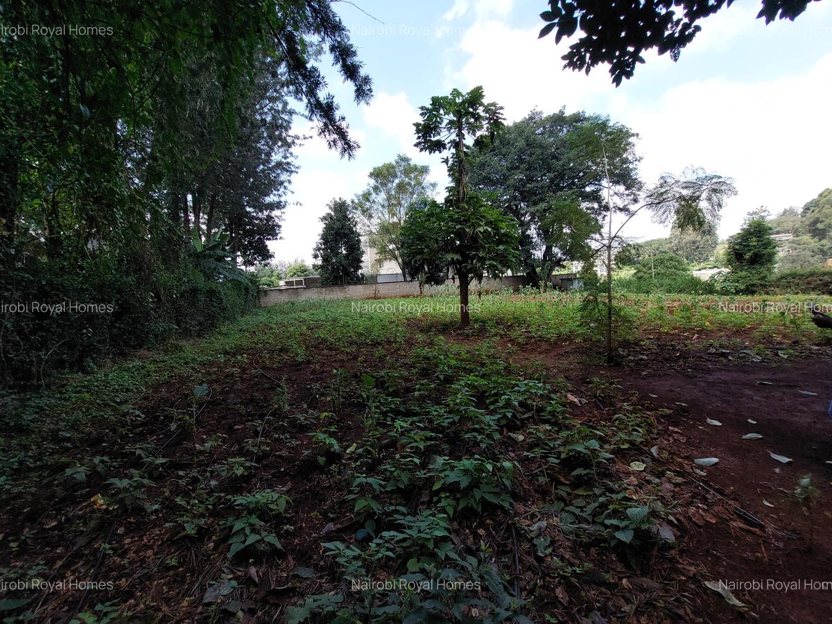 Residential Land at Kirawa Road - 7