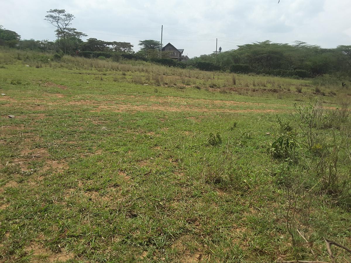 0.25 ac Residential Land in Ongata Rongai - 6