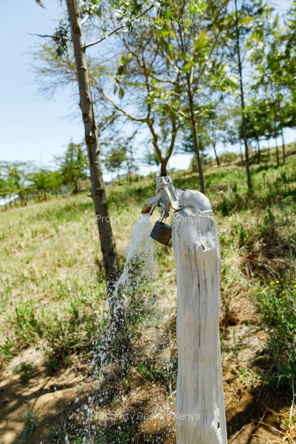 Residential Land at Moi South Lake Road - 14