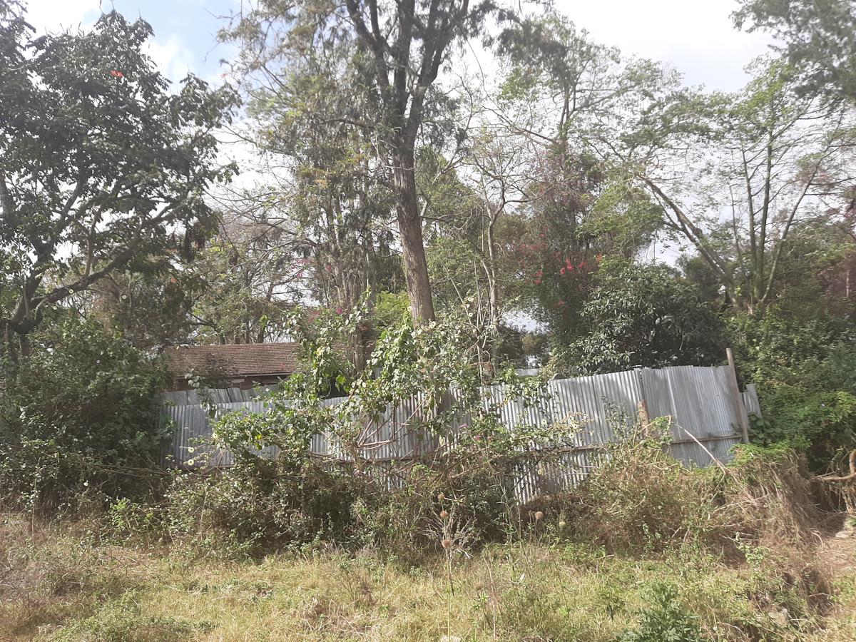 Commercial Land at Karen Langata Road - 3