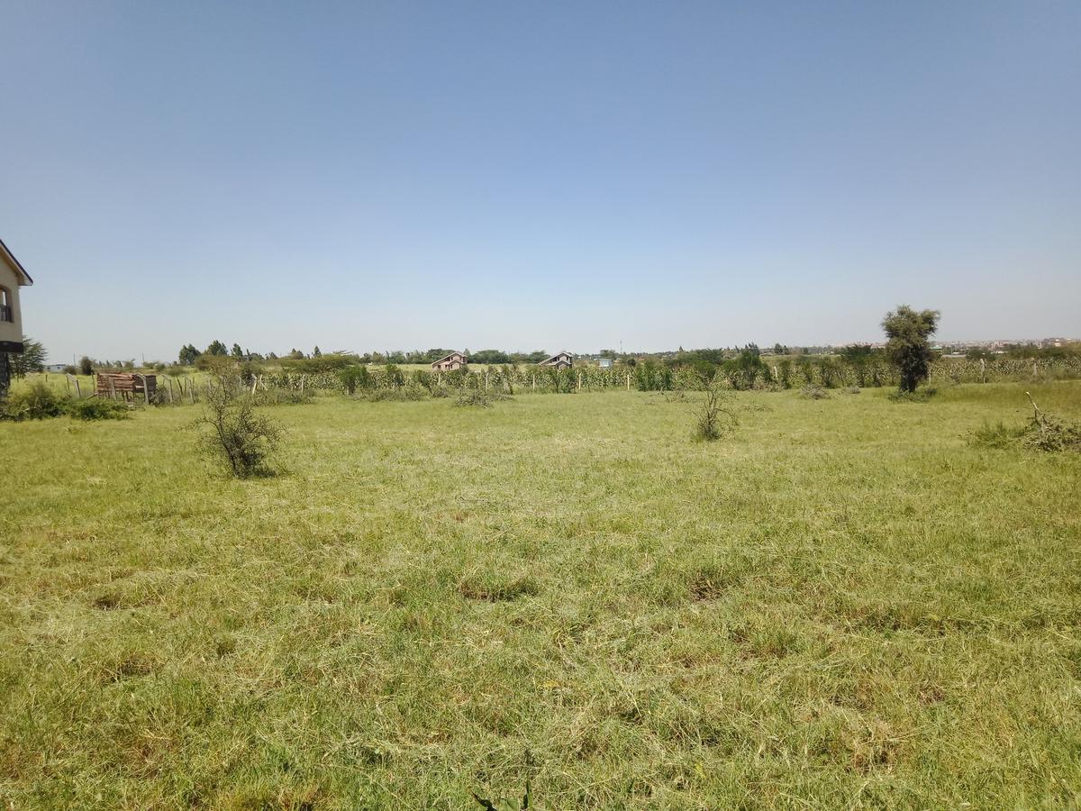 29 ac Land at Kaputiei North - 1