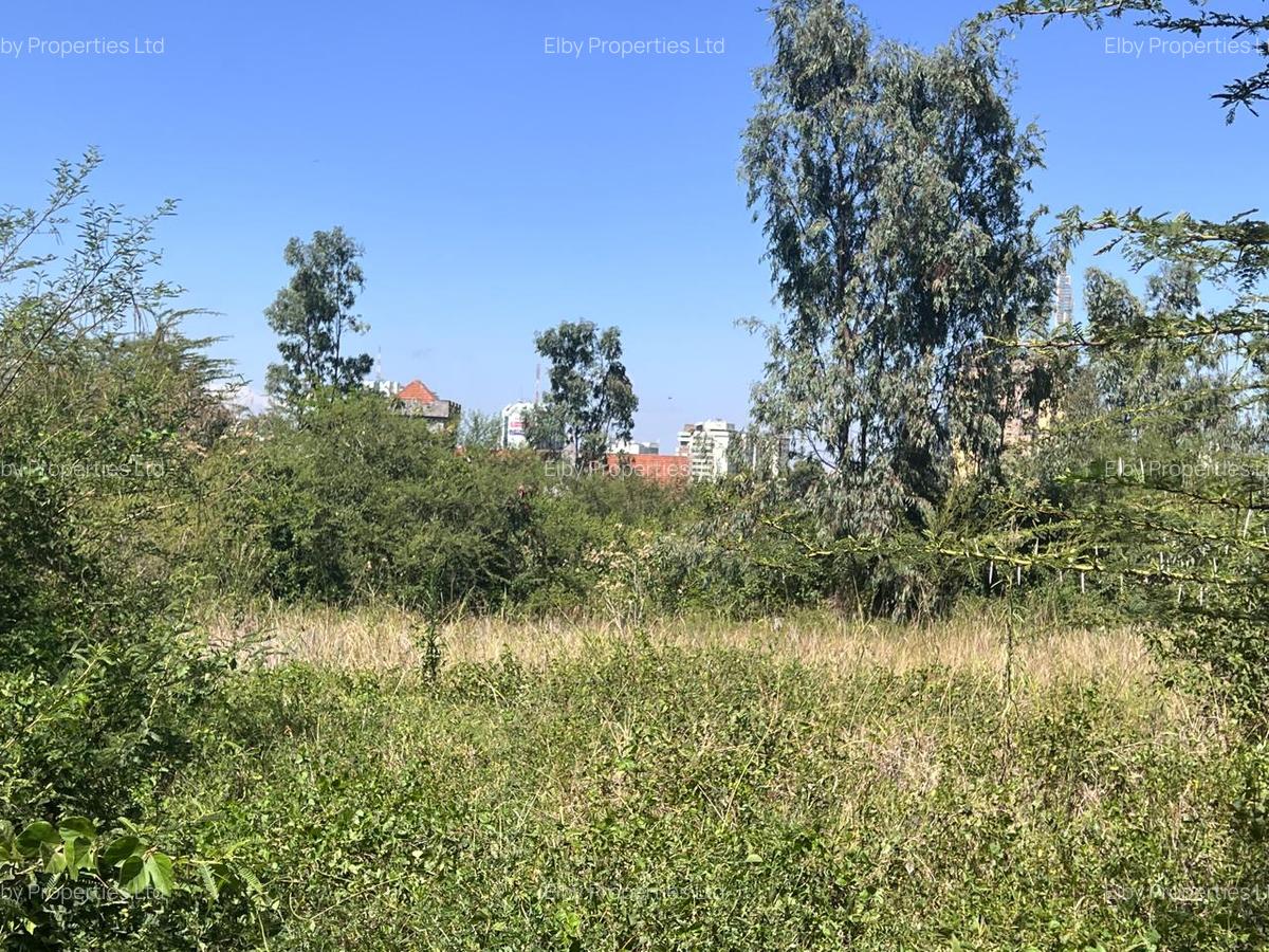 Commercial Land in Upper Hill - 5