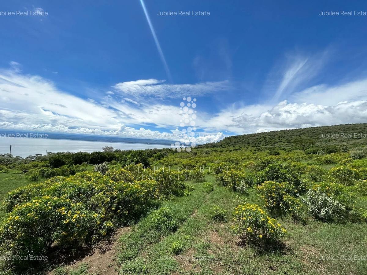 21.1 ac Land in Naivasha - 11