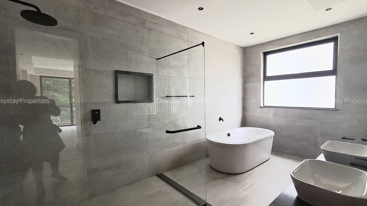 4 Bed Apartment with En Suite in Spring Valley - 8