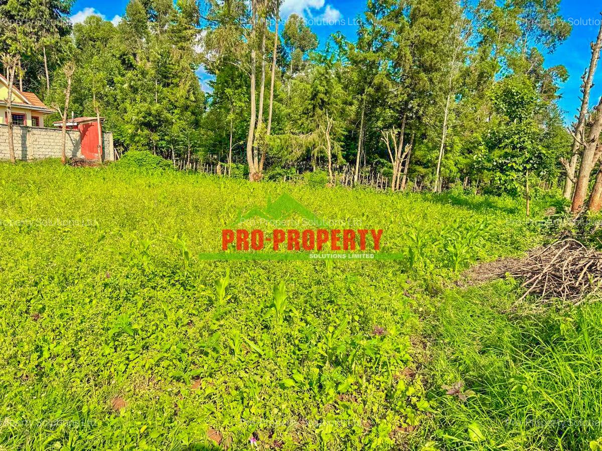 0.1 ha Residential Land at Ondiri - 7
