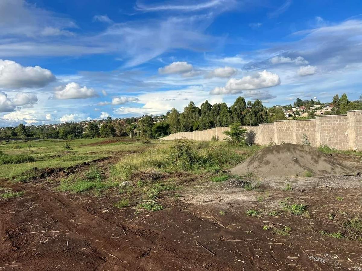 0.125 ac Residential Land at Ruiru - Githunguri Road - 5