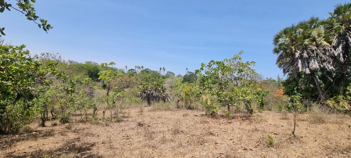 1 ac Land at Mtwapa Creekside - 16