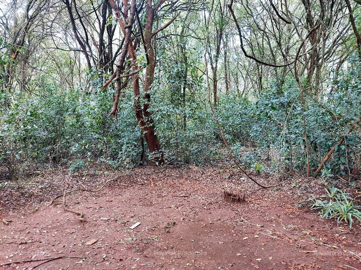 2 Bed House with En Suite at Karen - 2