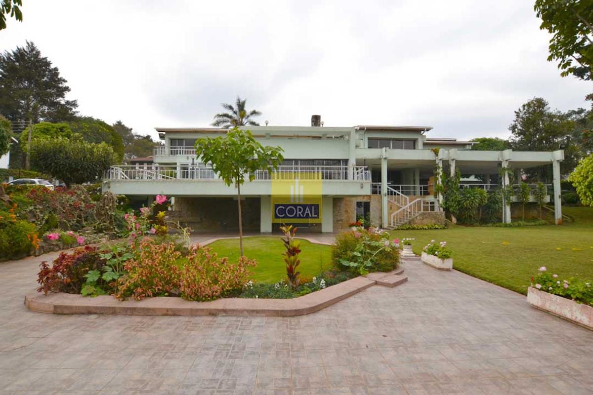 Office with Backup Generator in Lavington - 1