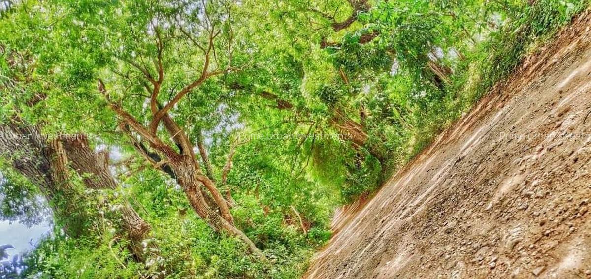 Land in Vipingo - 14