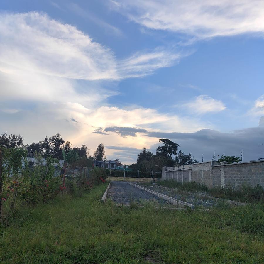 0.5 ac Land at Mokoyeti Road - 12