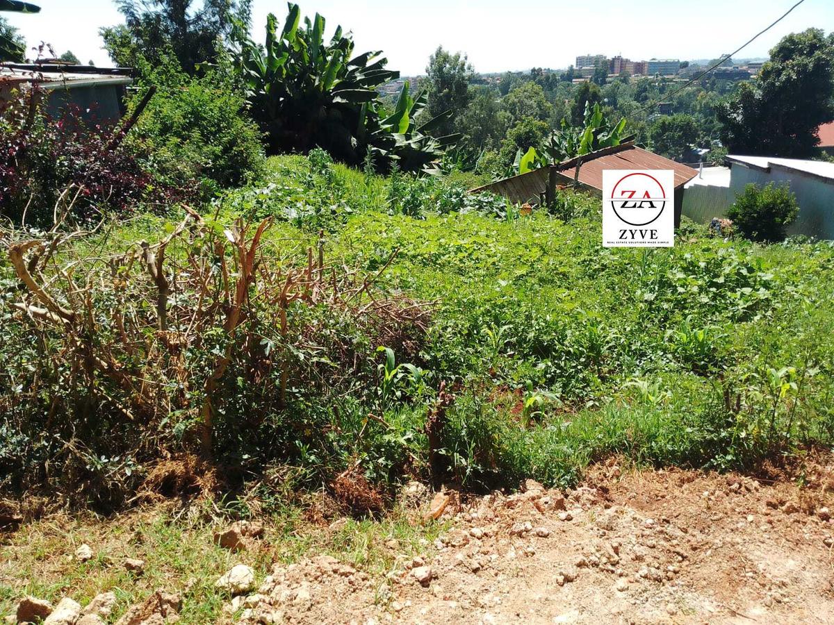 0.125 ac Residential Land at Near Kanunga High School - 6