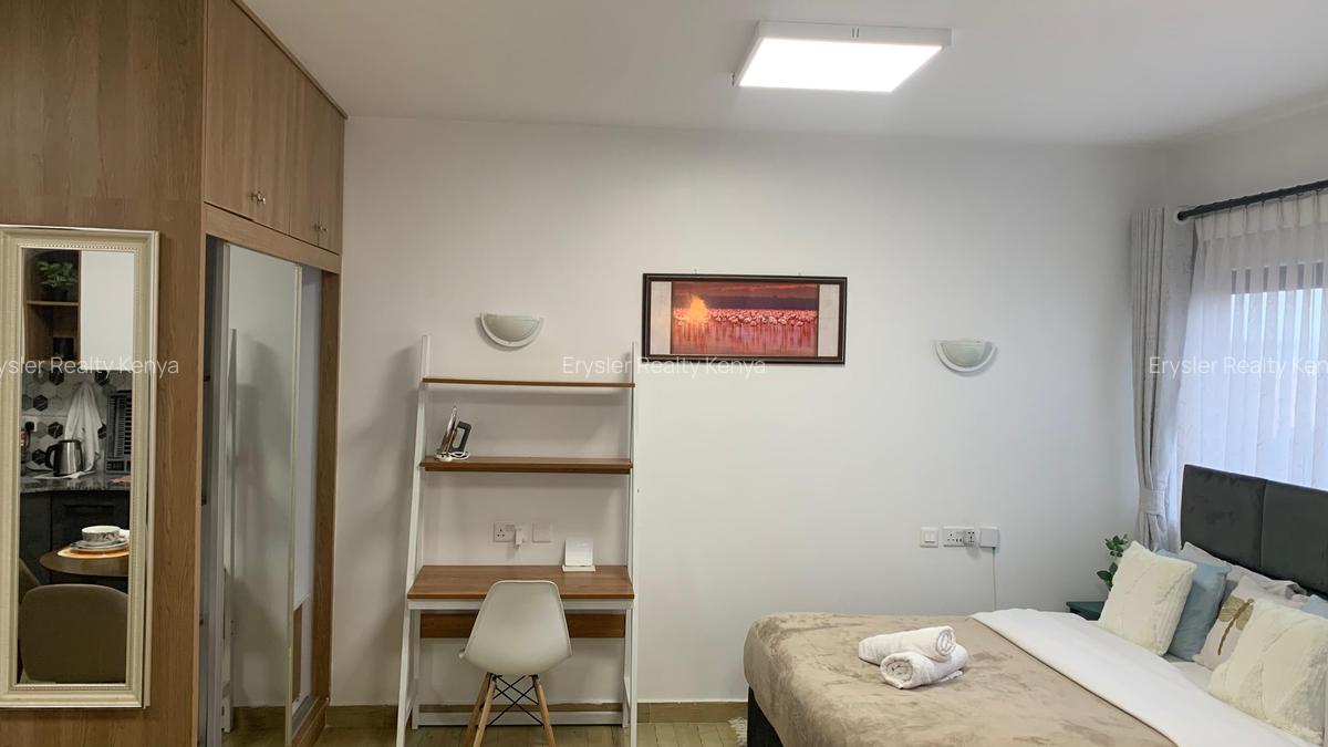 Serviced Studio Apartment with Gym at Kileleshwa - 10