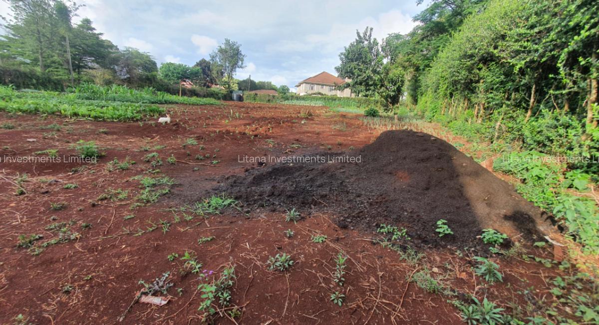1.2 ac Land at Old Runda - 4