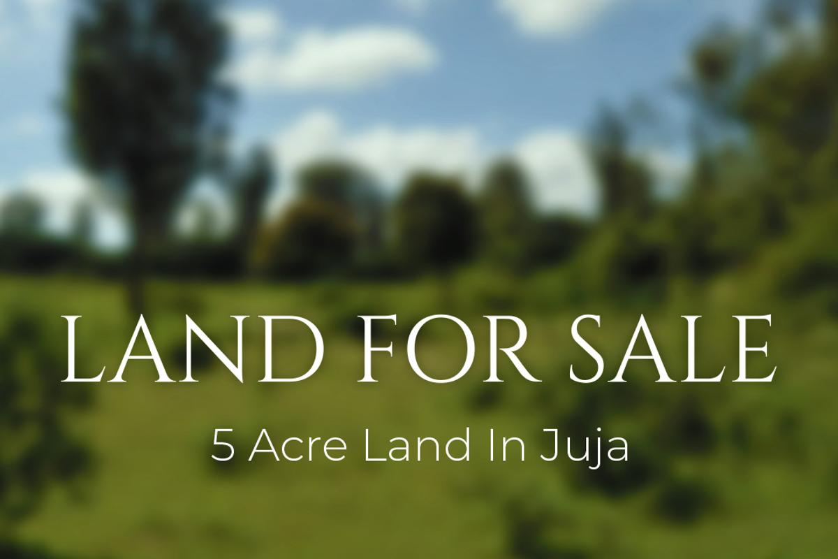 Land in Juja - 1