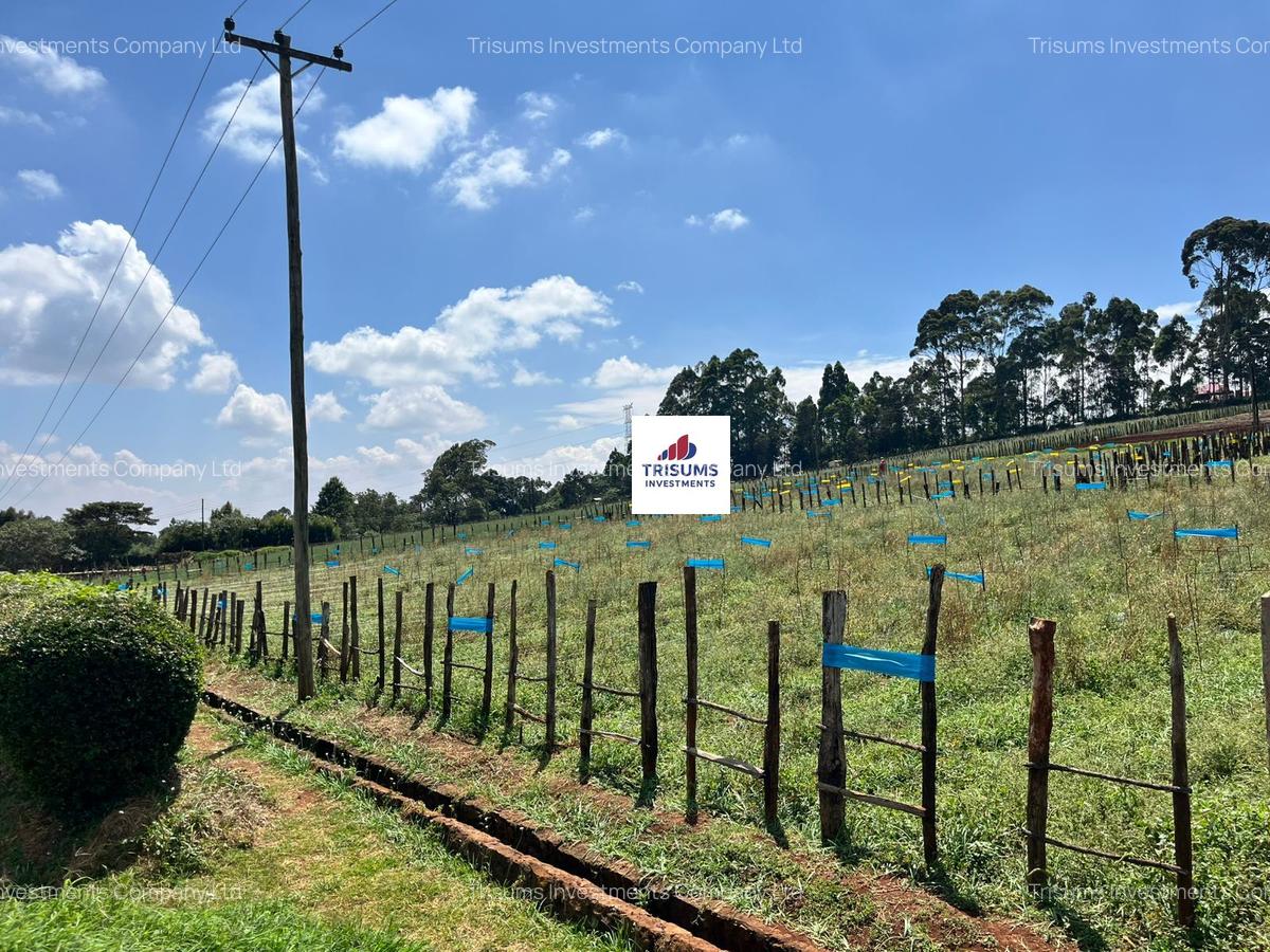 16.5 ac Land in Tigoni - 9