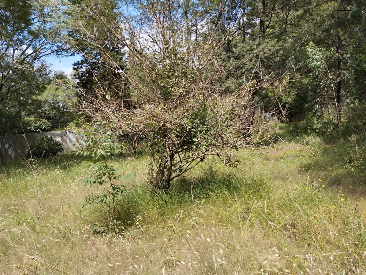 1 ac Residential Land in Karen - 3