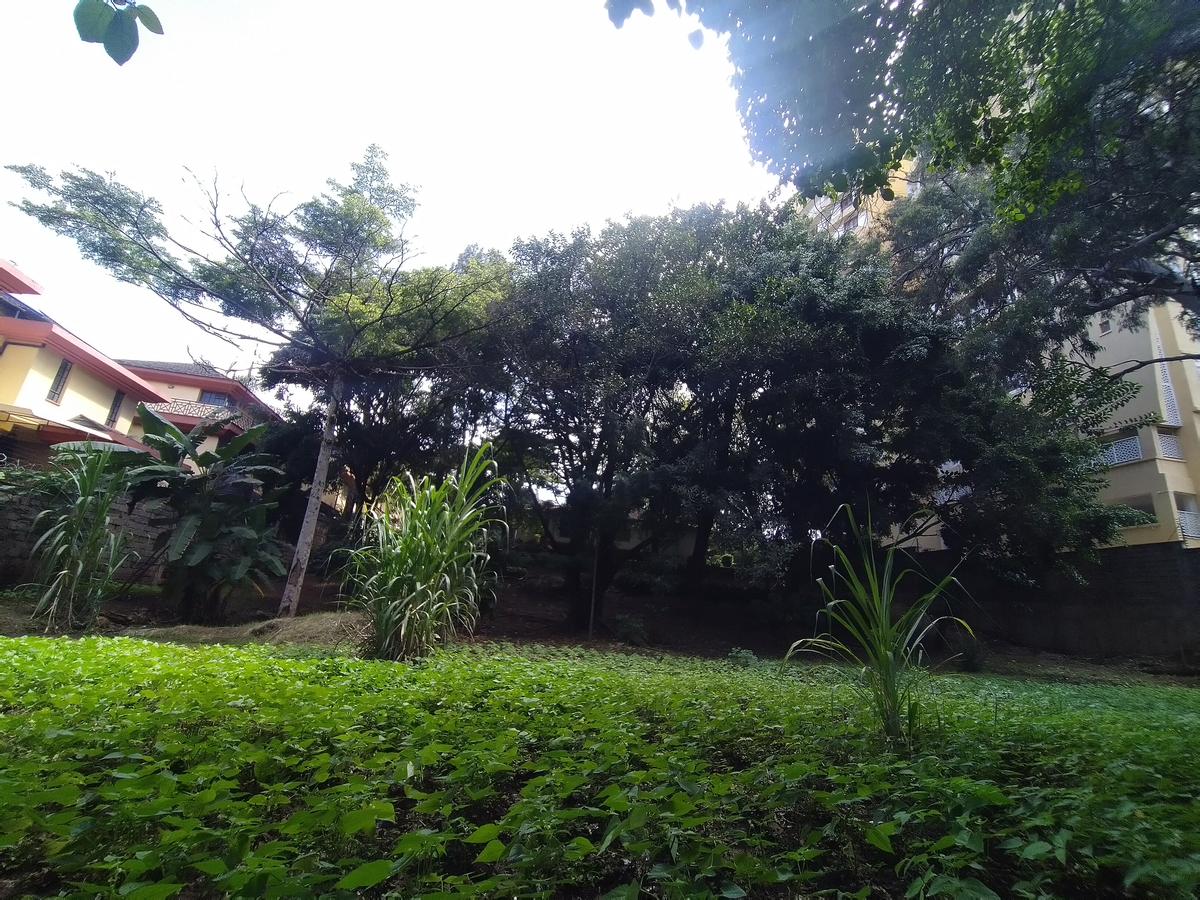 0.78 ac Residential Land in Riara Road - 8