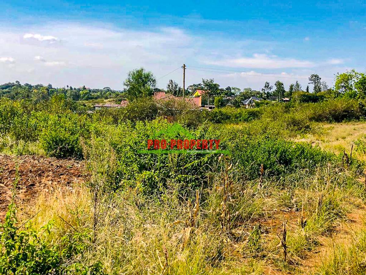 0.125 ac Land in Thika - 8