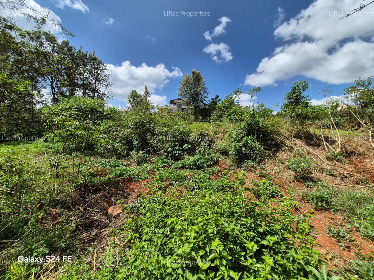 5,057 m² Residential Land at Mushroom Estate - 6