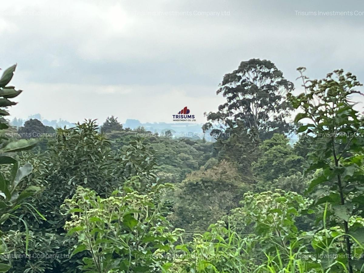 2.4 ac Land at Tigoni - 5