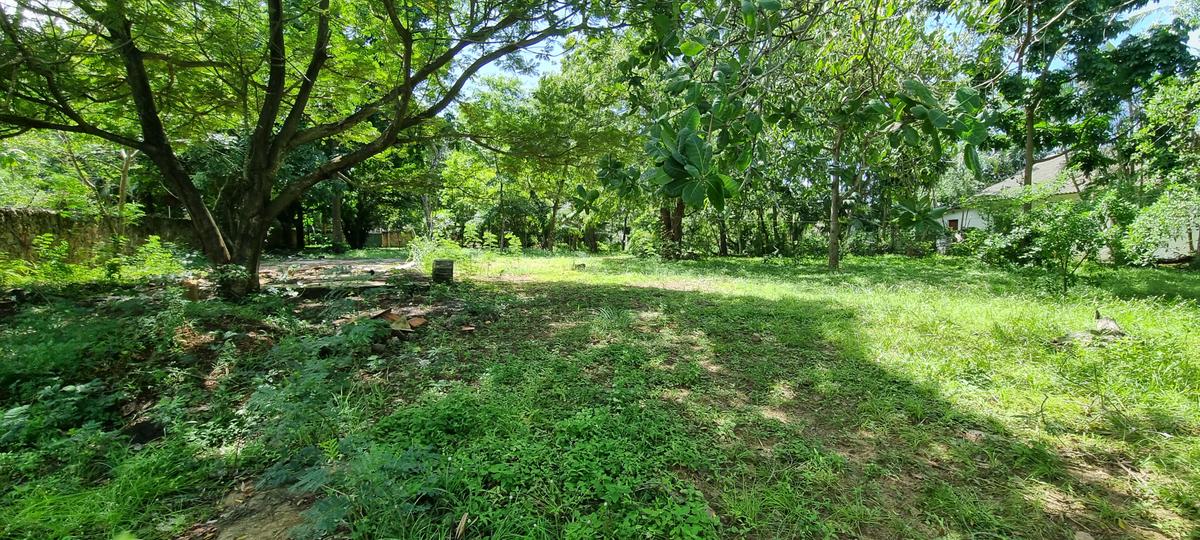 4.4 ac Land at Moorings - 11