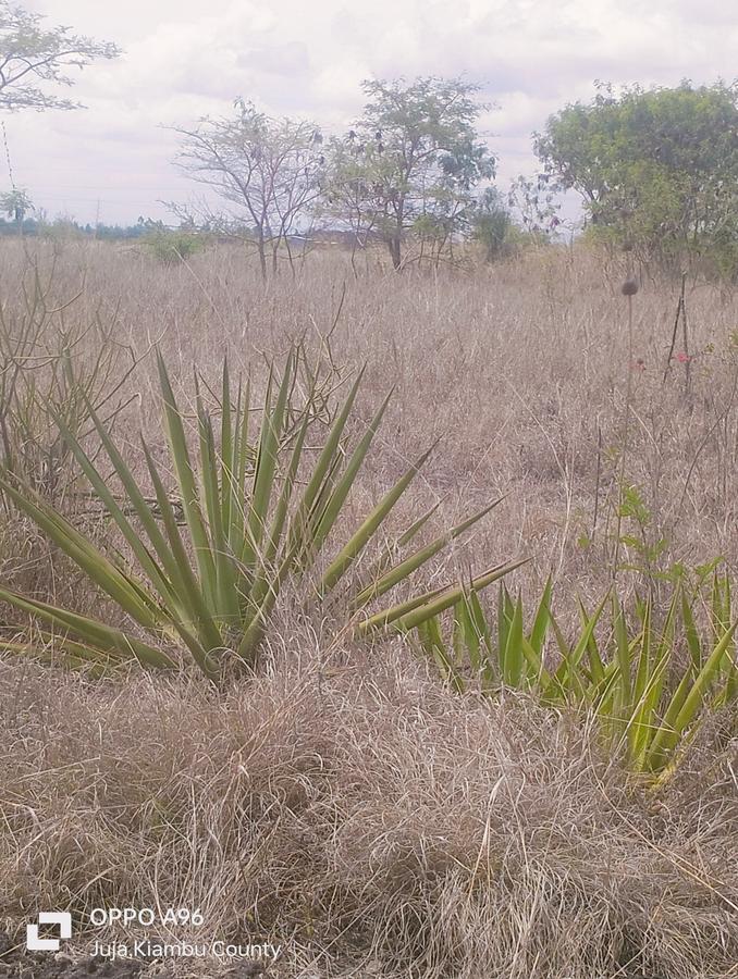 Residential Land in Juja Farm - 15