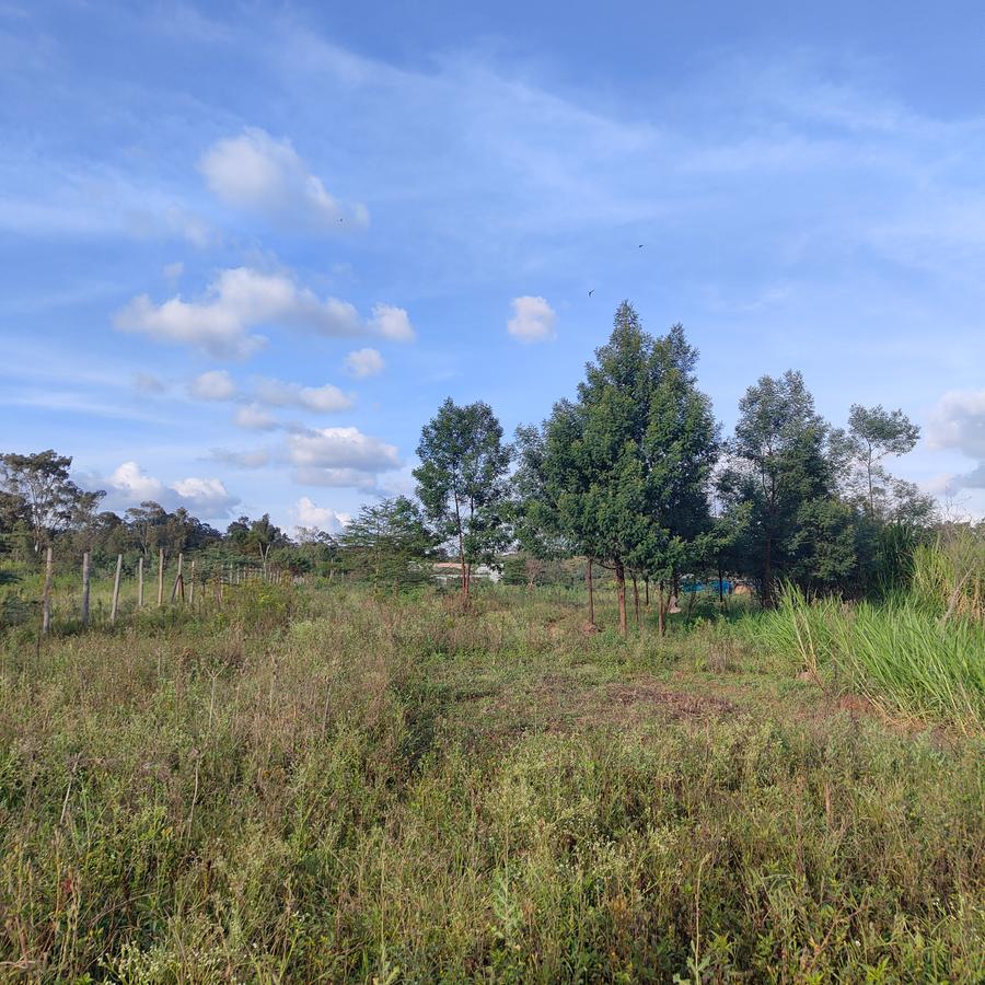 Commercial Land at Daggorett Road - 19