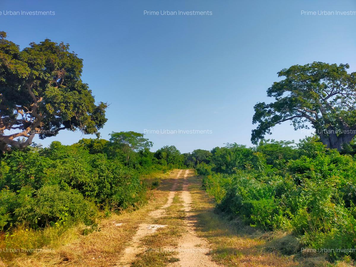 Land in Vipingo - 12