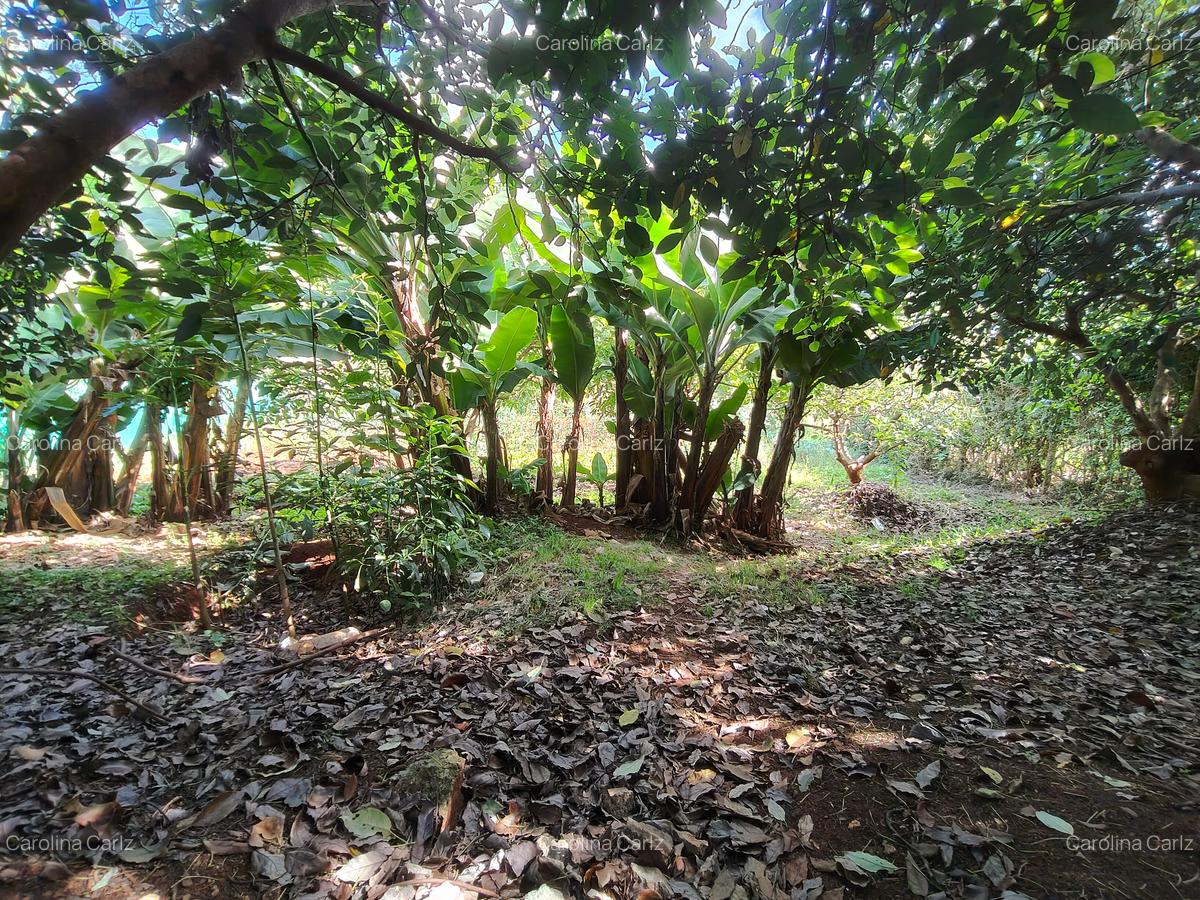 4 Bed House with En Suite at Loresho - 9