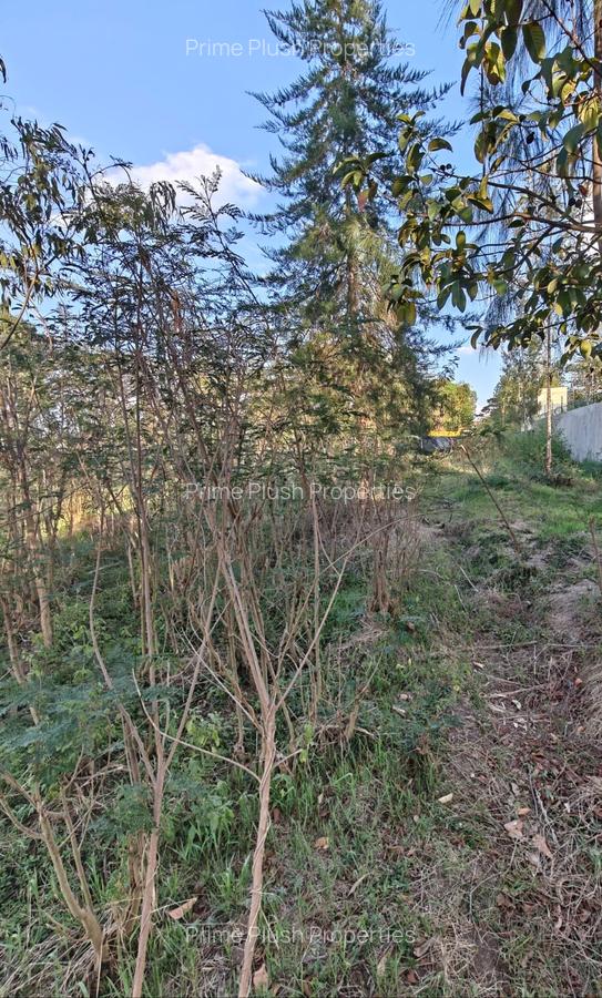 0.57 ac Land in Karen - 8