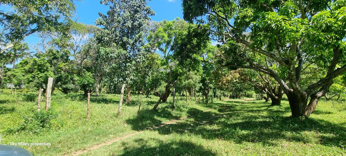 25 ac Land at Mtwapa - 11