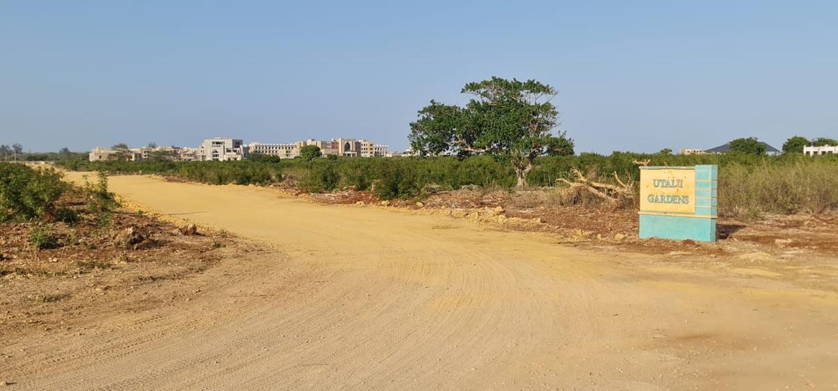 Land at Vipingo - 5