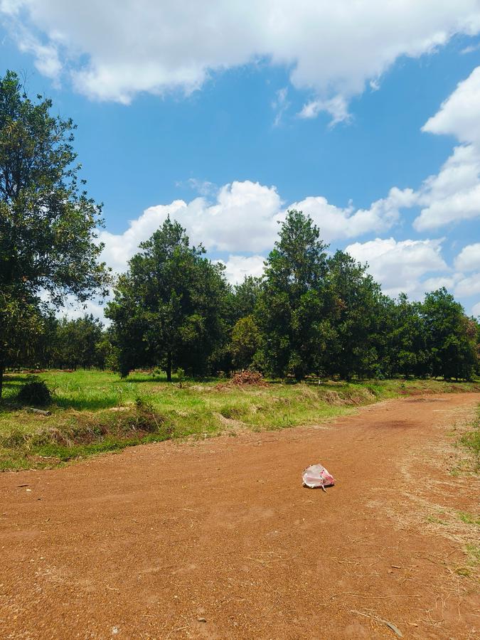 Residential Land in Thika - 5