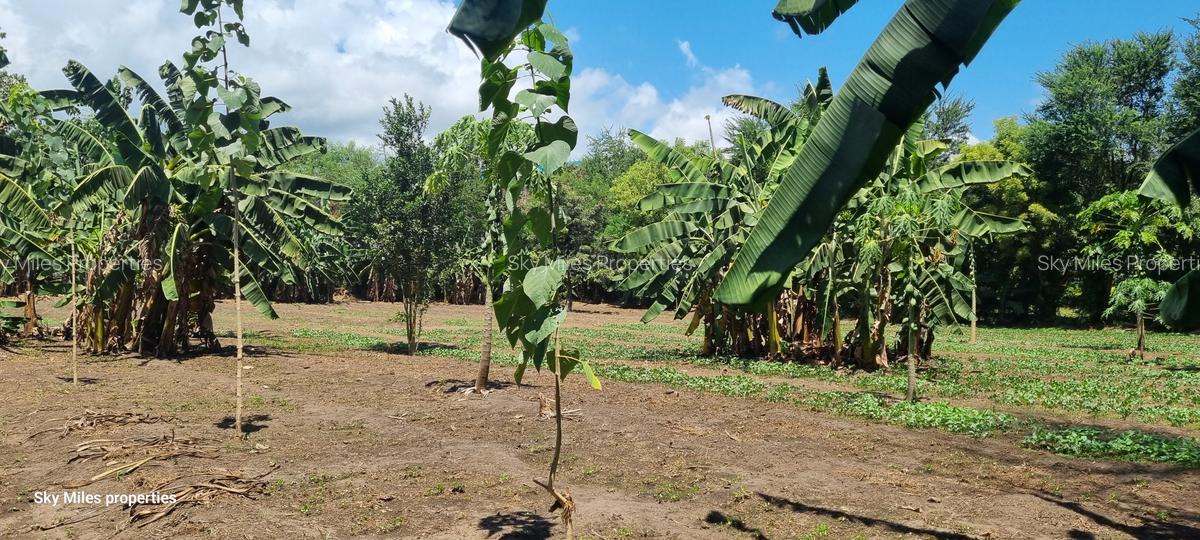 0.202 ha Land at Mtwapa - 14