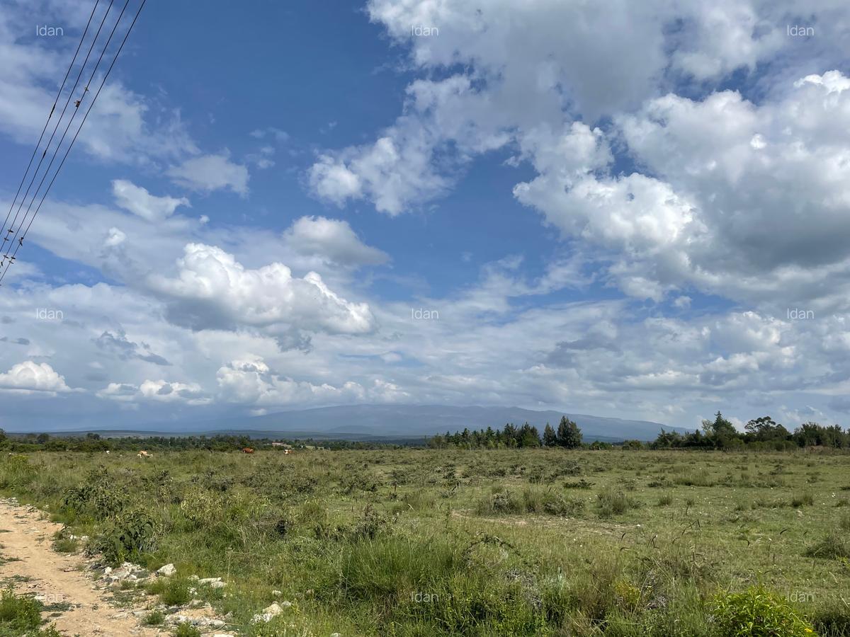 0.5 ac Land in Nanyuki - 1
