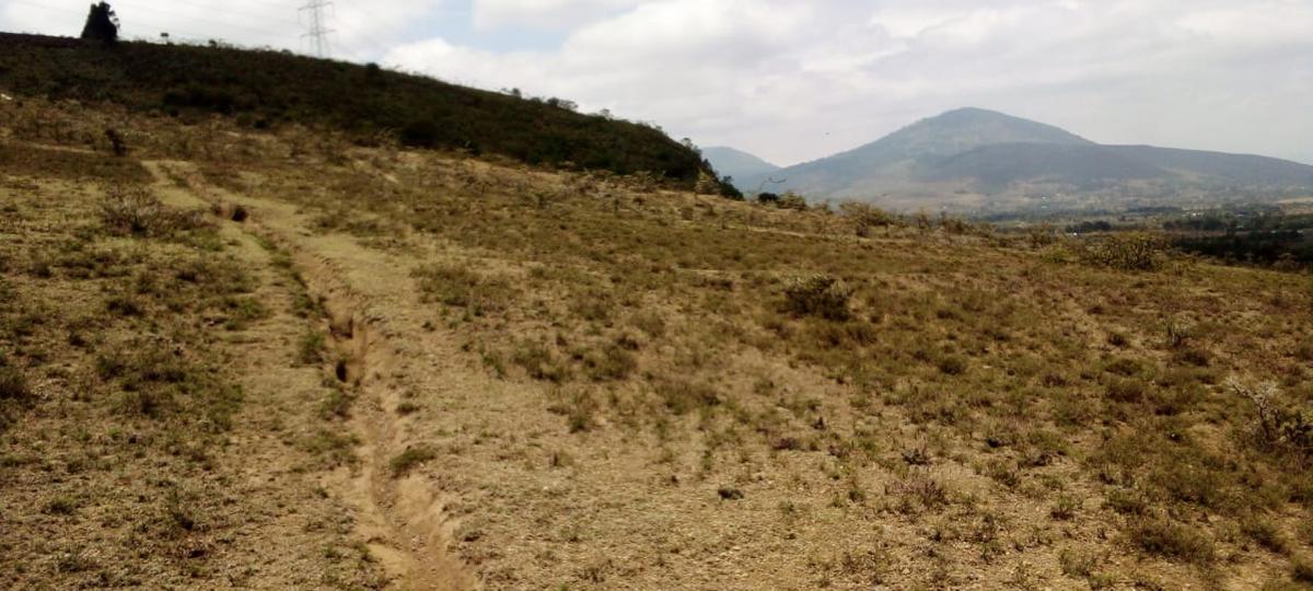 5.5 ac Land at Mai Mahiu - 1