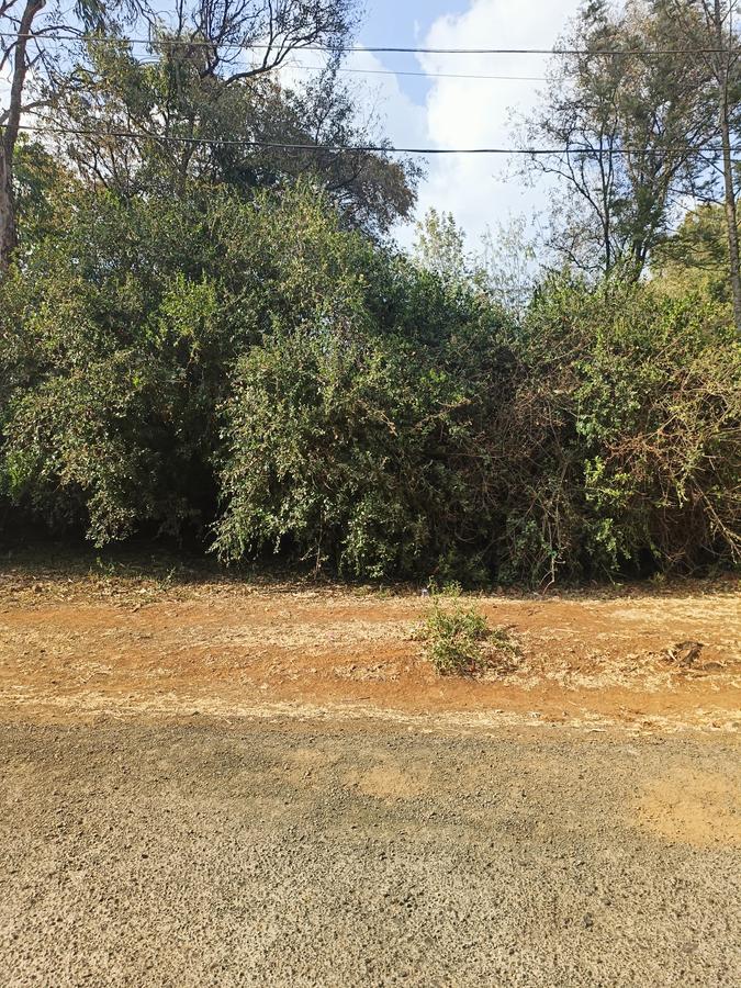 Residential Land at Tumbili Road - 2