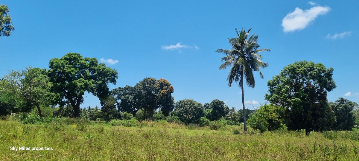 6 ac Land at Mtepeni - 2