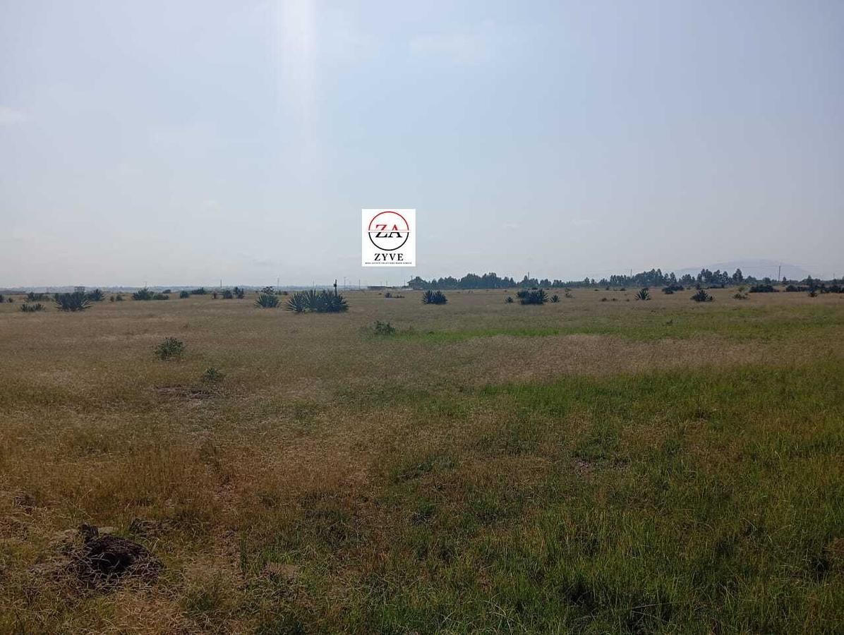 0.125 ac Land at Juja Farm - 4