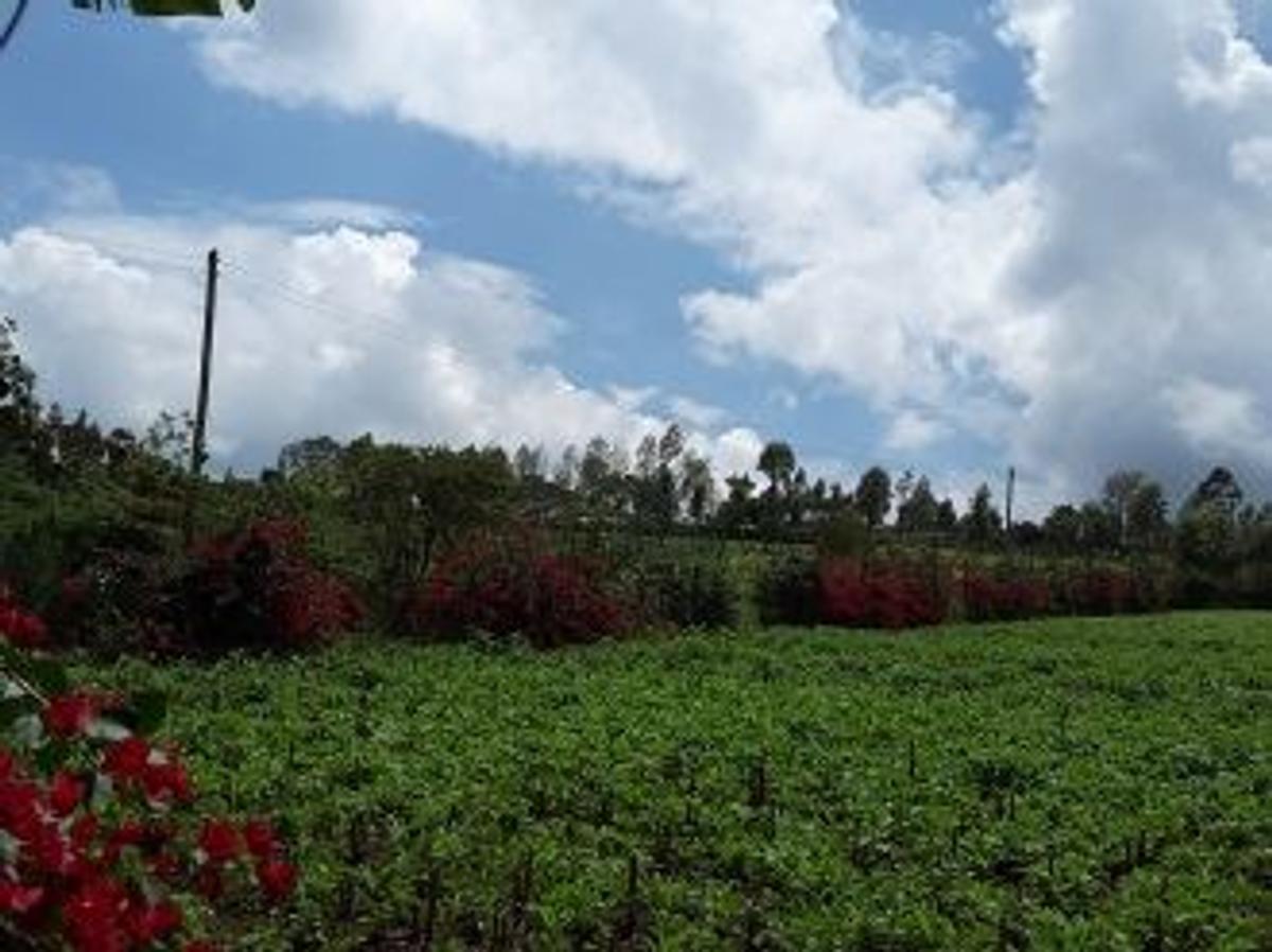 0.113 ac Land in Ngong - 1