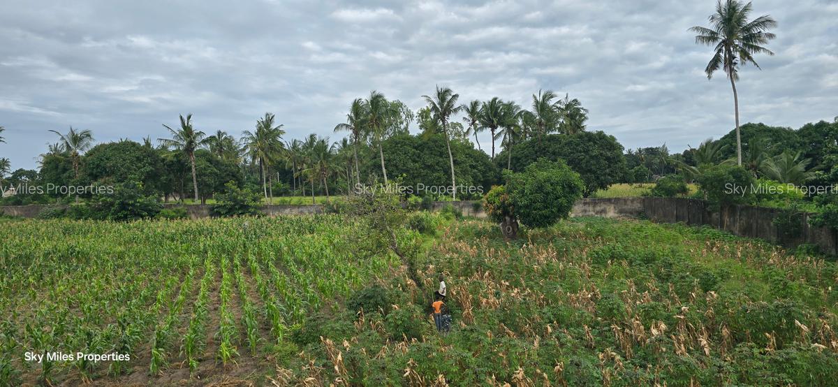 6 ac Land at Bomani - 17