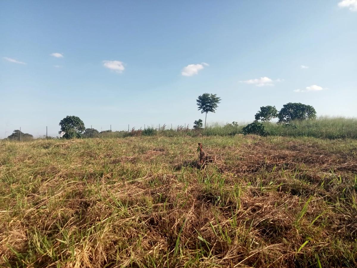 1 ha Residential Land in Tatu City - 11