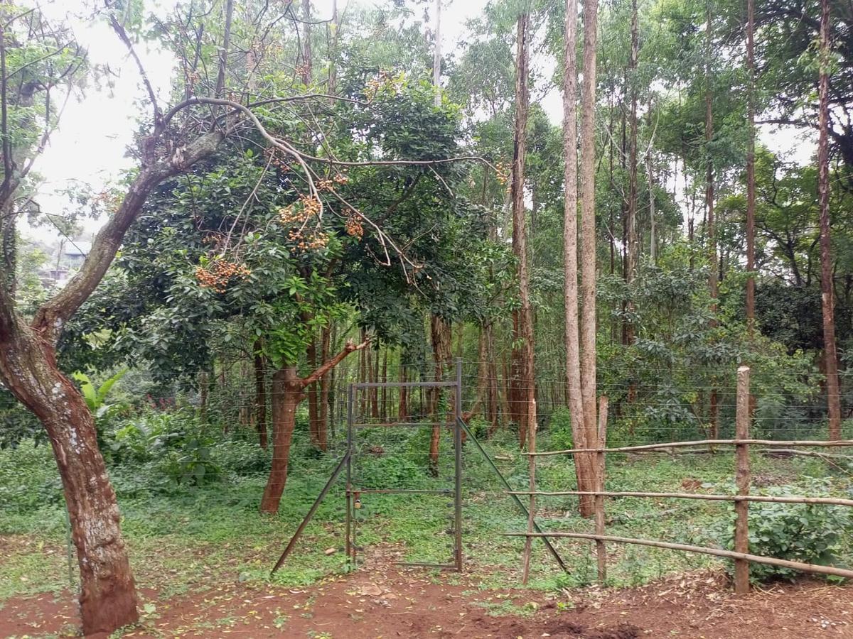 1 ac Land in Kitisuru - 3